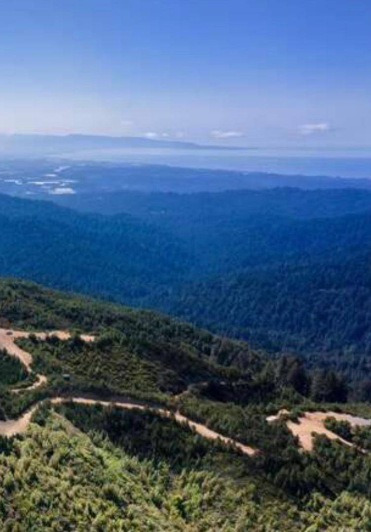 Watsonville, CA 95076,0 Ormsby Cutoff