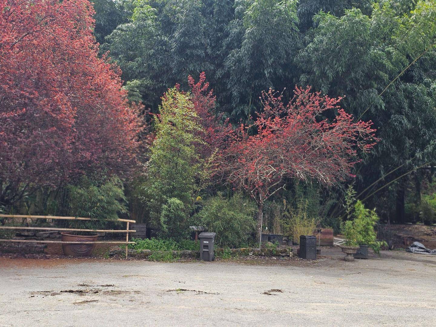 Aptos, CA 95003,5601 Freedom BLVD