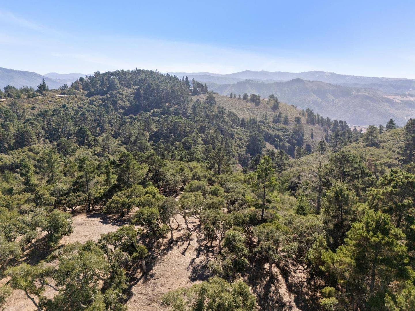 Carmel, CA 93923,56 Marguerite (Lot 44)