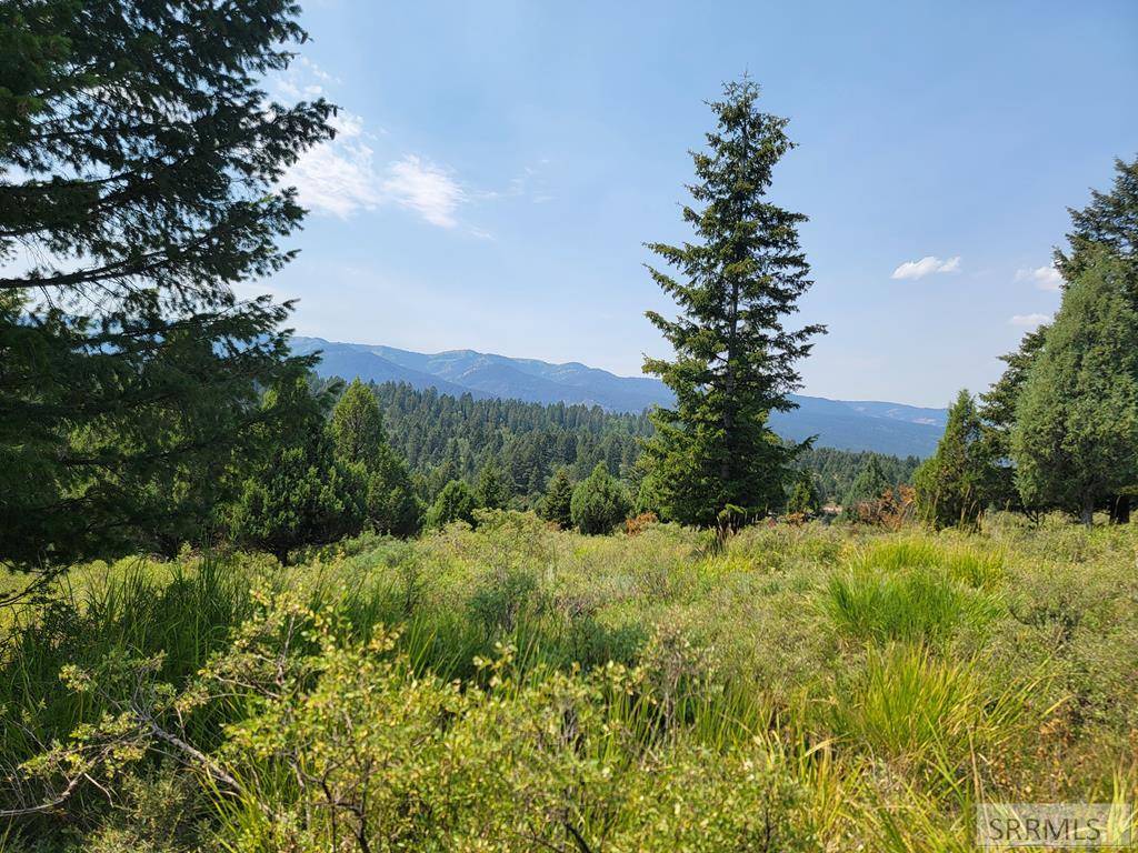 Irwin, ID 83428,L61 B4 Cutthroat Run