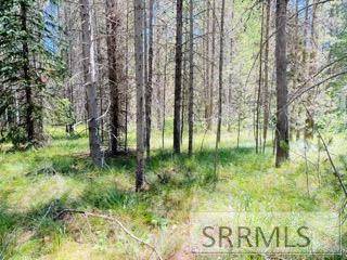 Island Park, ID 83420,4009 Coyote Road
