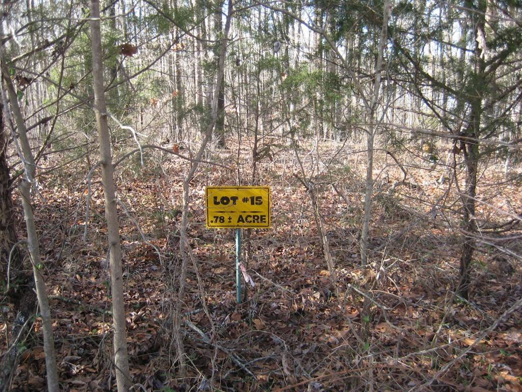 Buffalo Junction, VA 24529,15-15BR Palomino Road