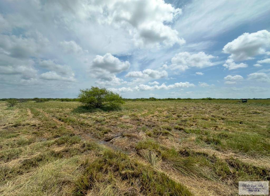 Brownsville, TX 78521,000 Old Port Isabel Rd.