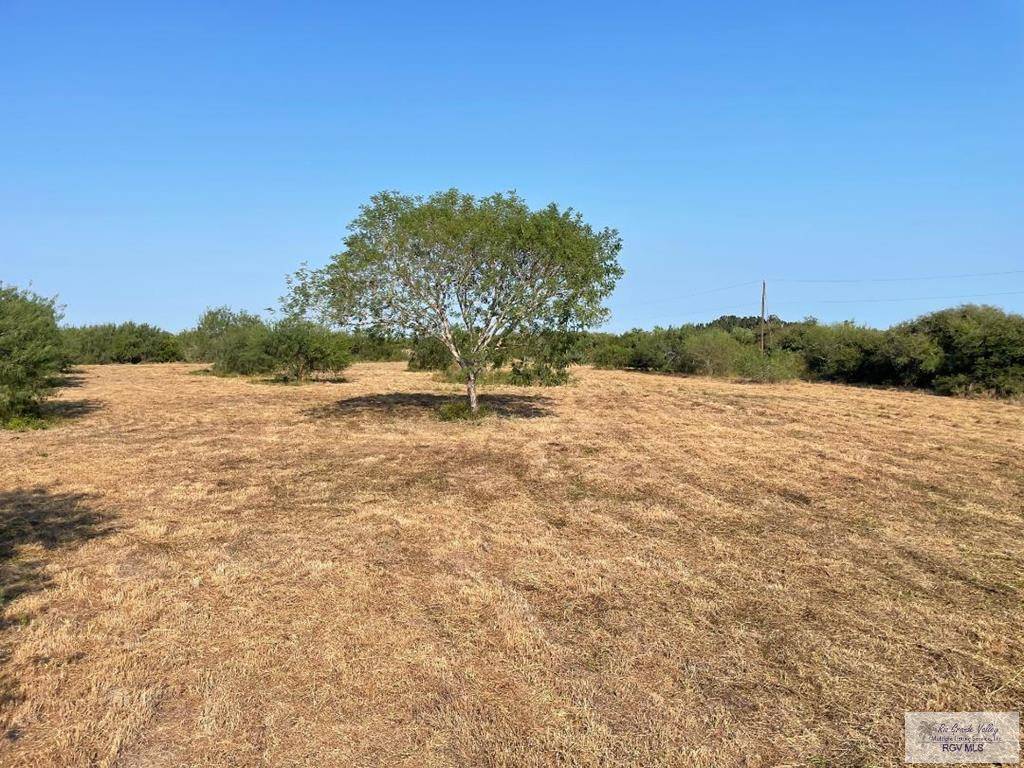 Bayview, TX 78566,Address not disclosed