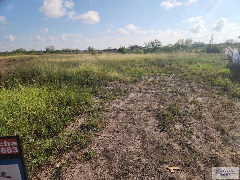Brownsville, TX 78526,LOT 9 Willow Palm Court