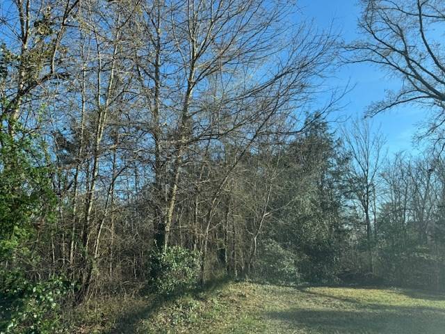 South Boston, VA 24592,1-16 Vaughan Street