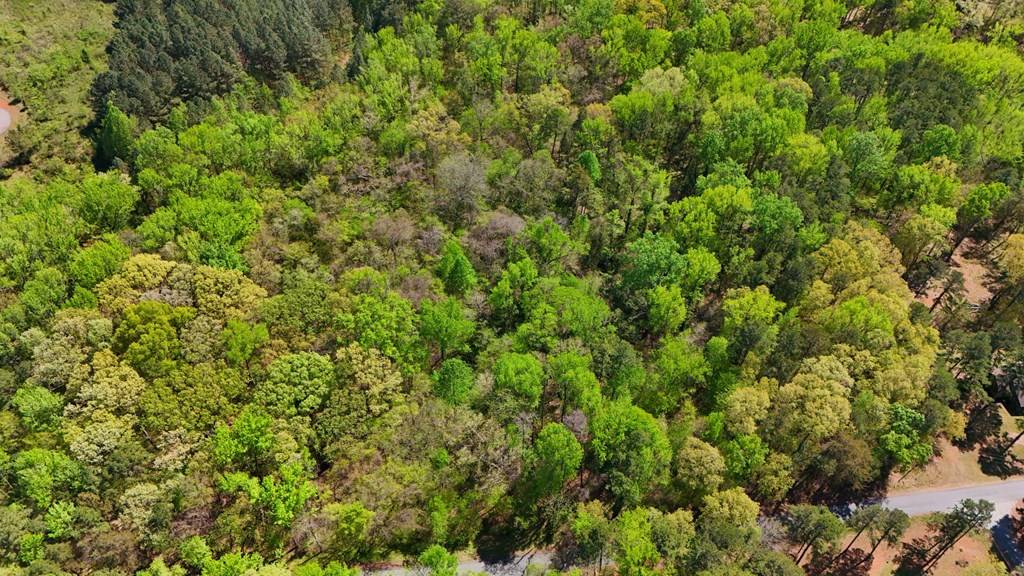 Clarksville, VA 23927,Lot14&15 Wellington Drive