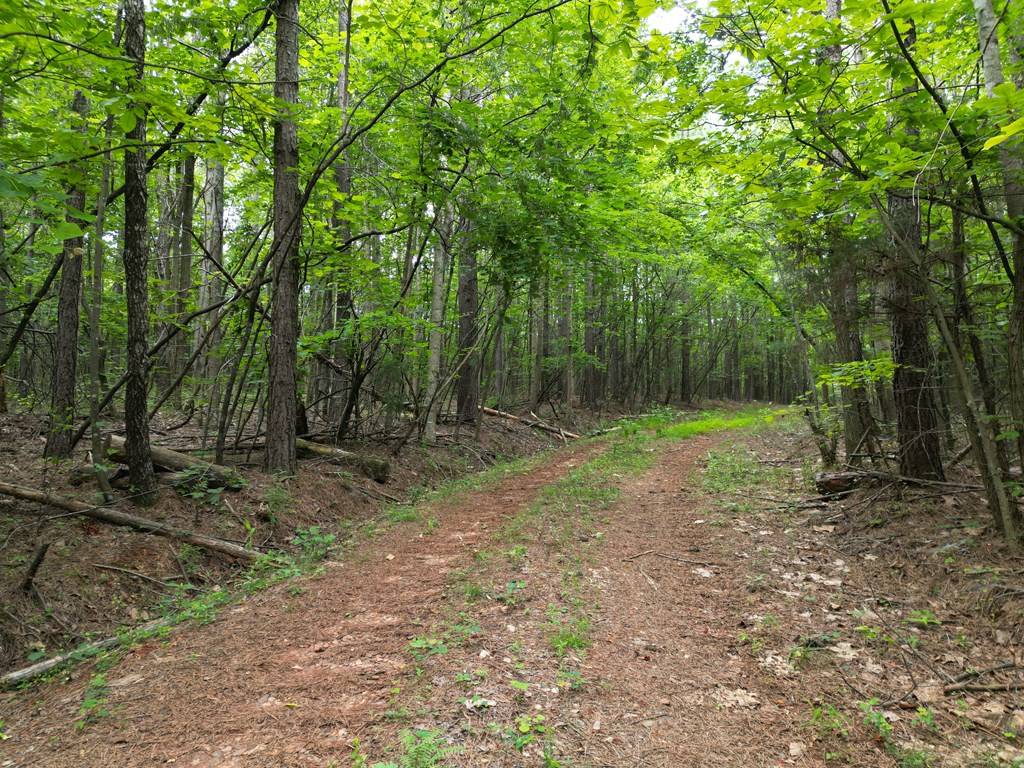 Gladstone, VA 24553,1300 Greenfield Drive