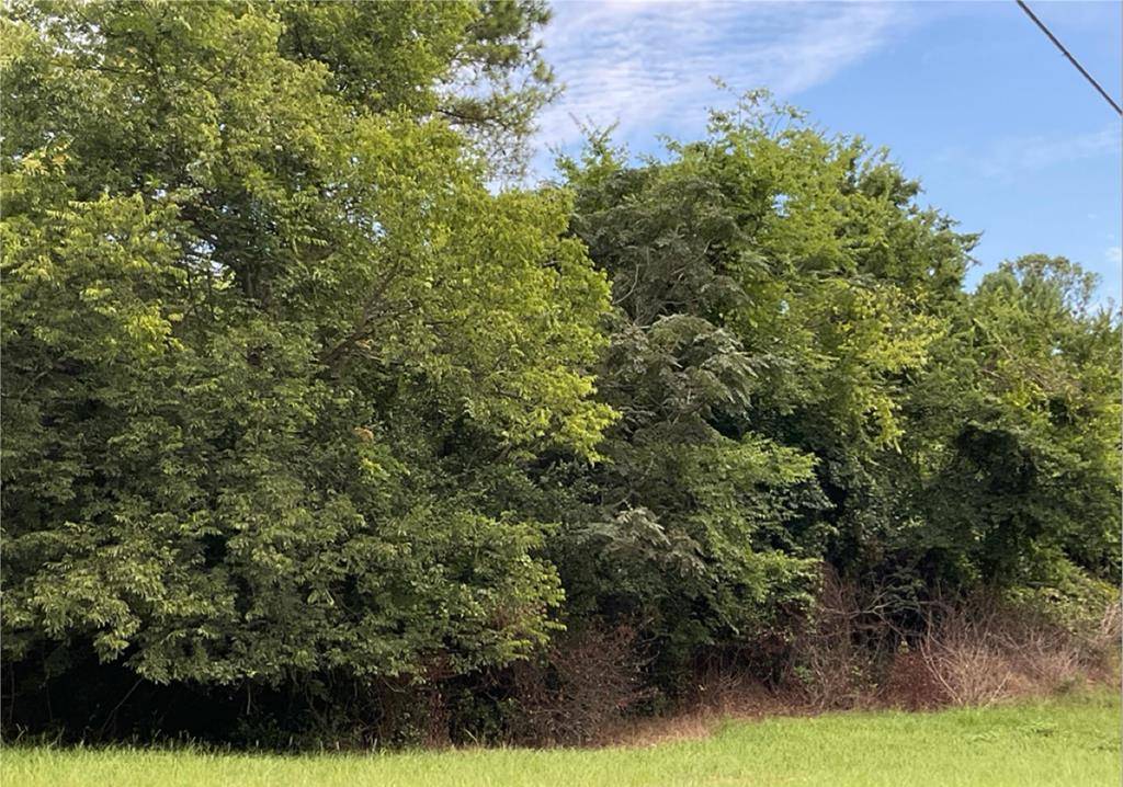 Albany, GA 31707,1813 Gillionville Road