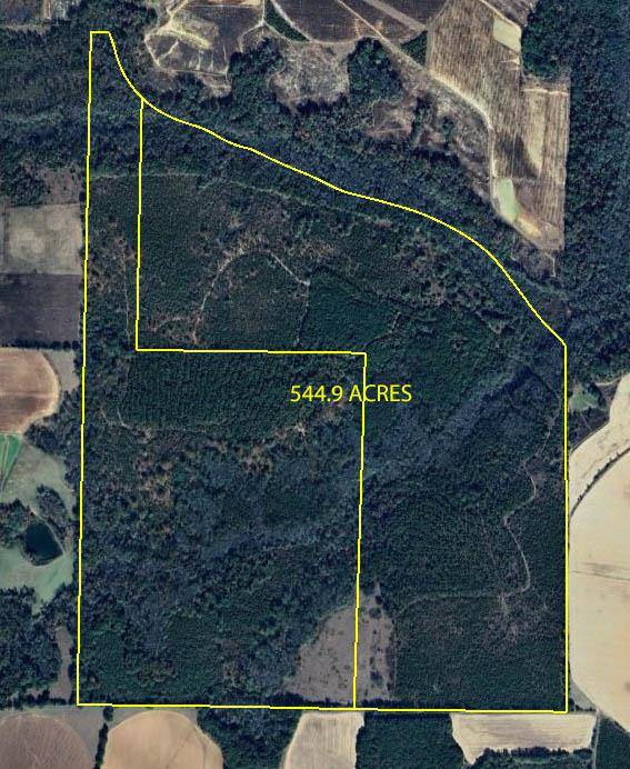 Cuthbert, GA 39840,00 Mt Zion Road