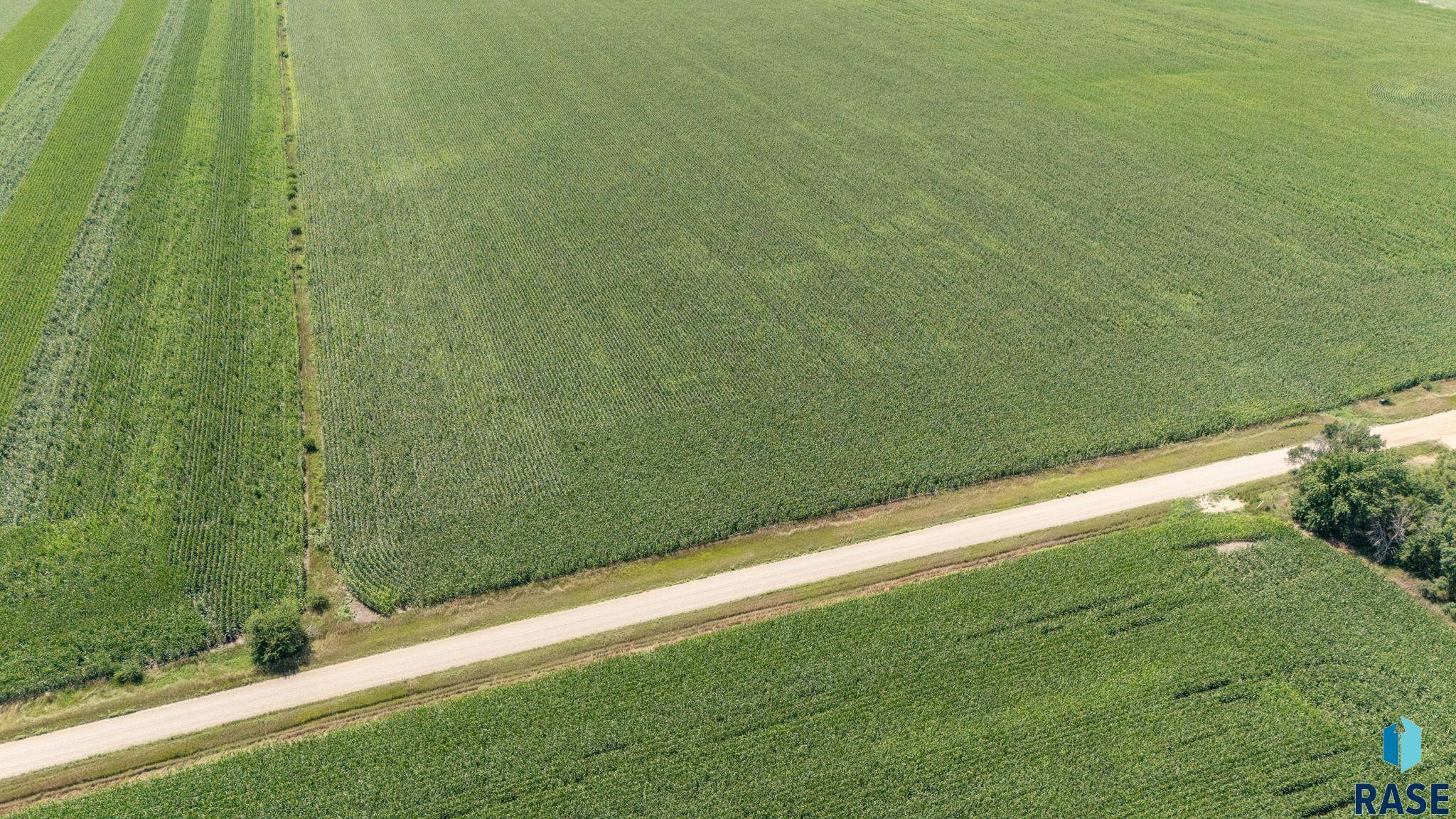 Beresford, SD 57004,295th St