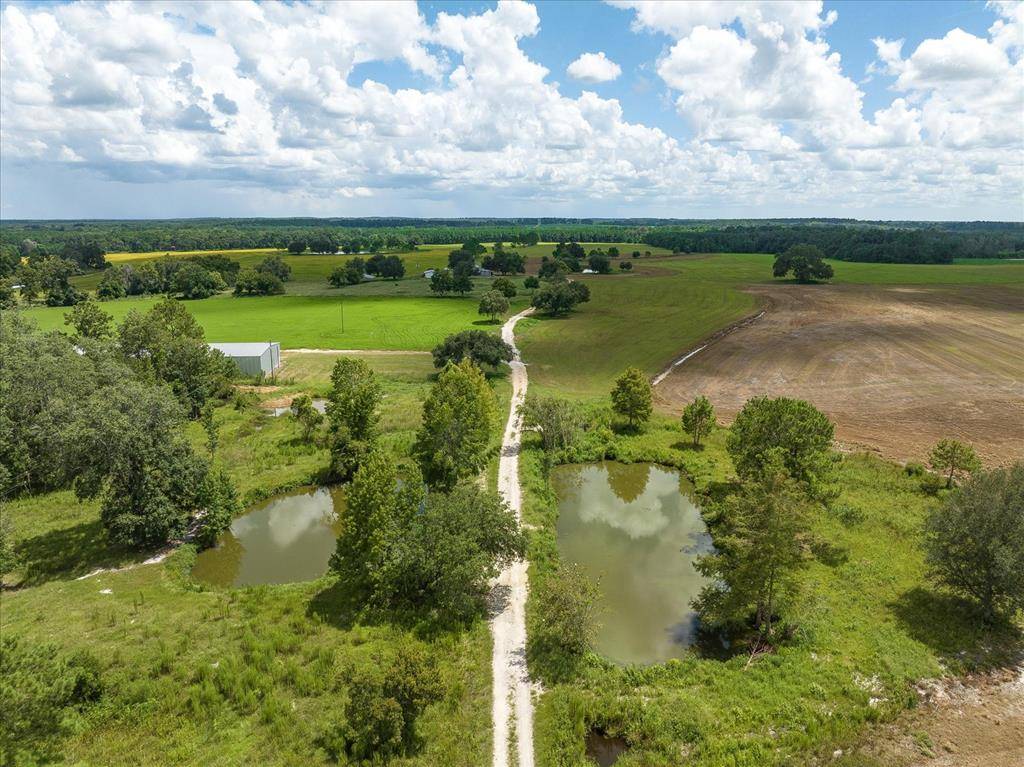 Quitman, GA 31643,8820 Grooverville Rd