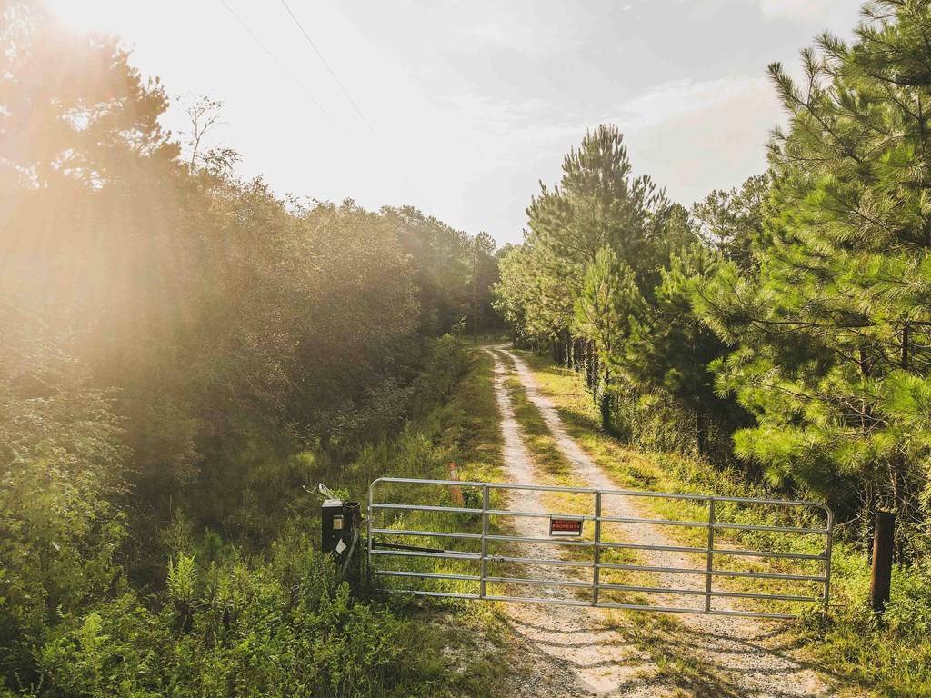 Ochlocknee, GA 31773,210 Egg & Butter Road