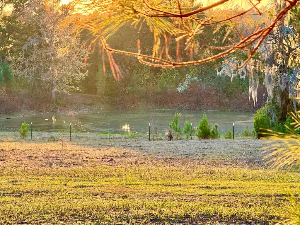 Cairo, GA 39828,592 20th Se