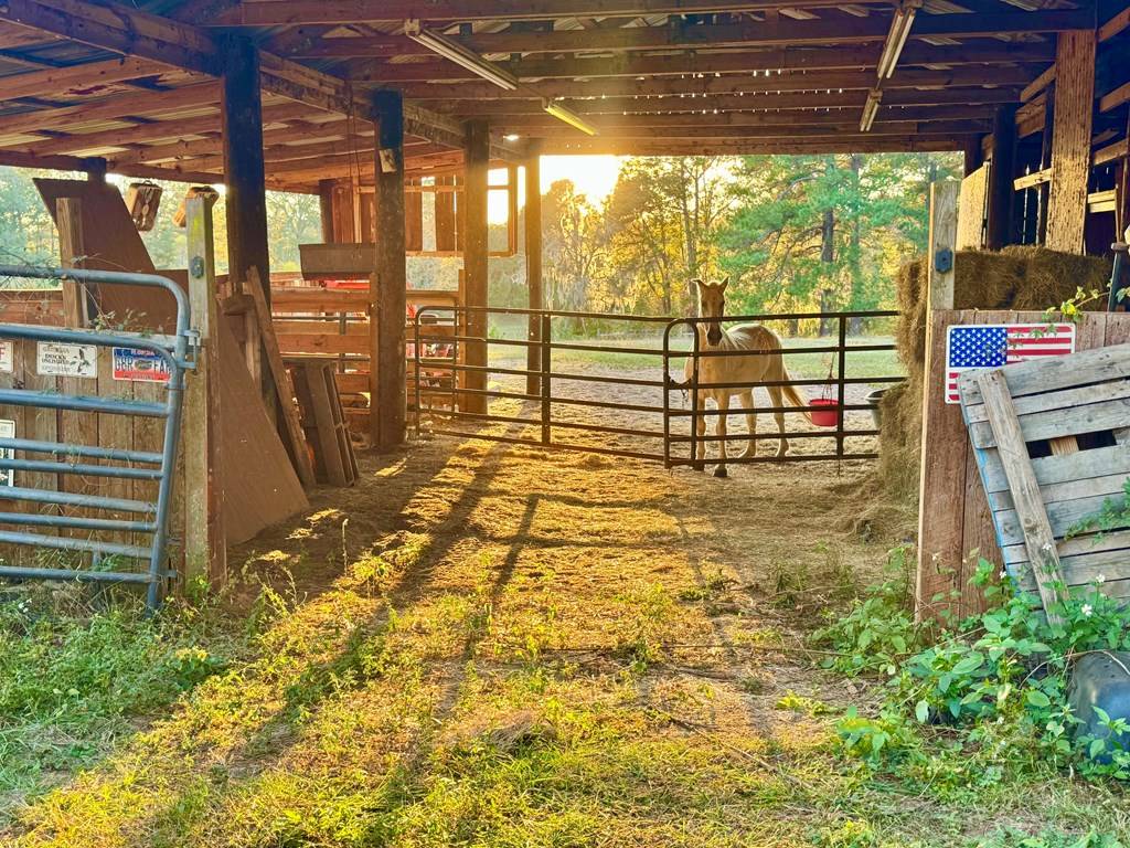 Cairo, GA 39828,592 20th Se