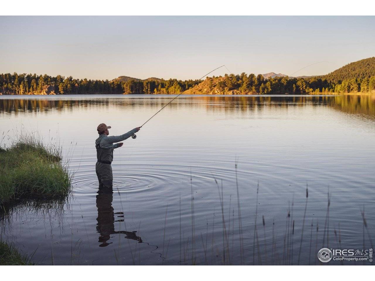 Ward, CO 80481,3371 Gold Lake