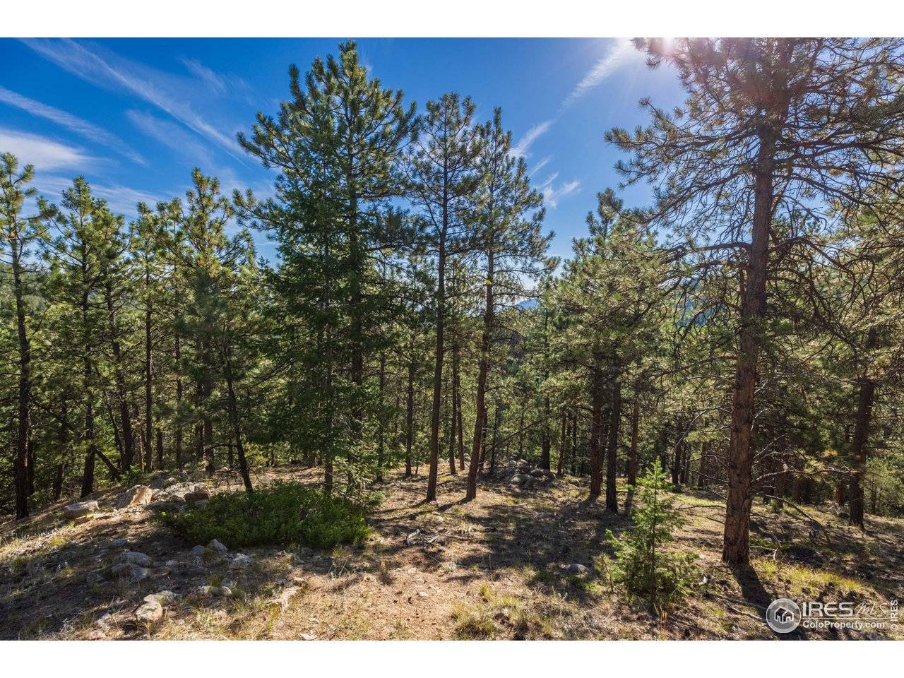 Boulder, CO 80302,155 Millionaire