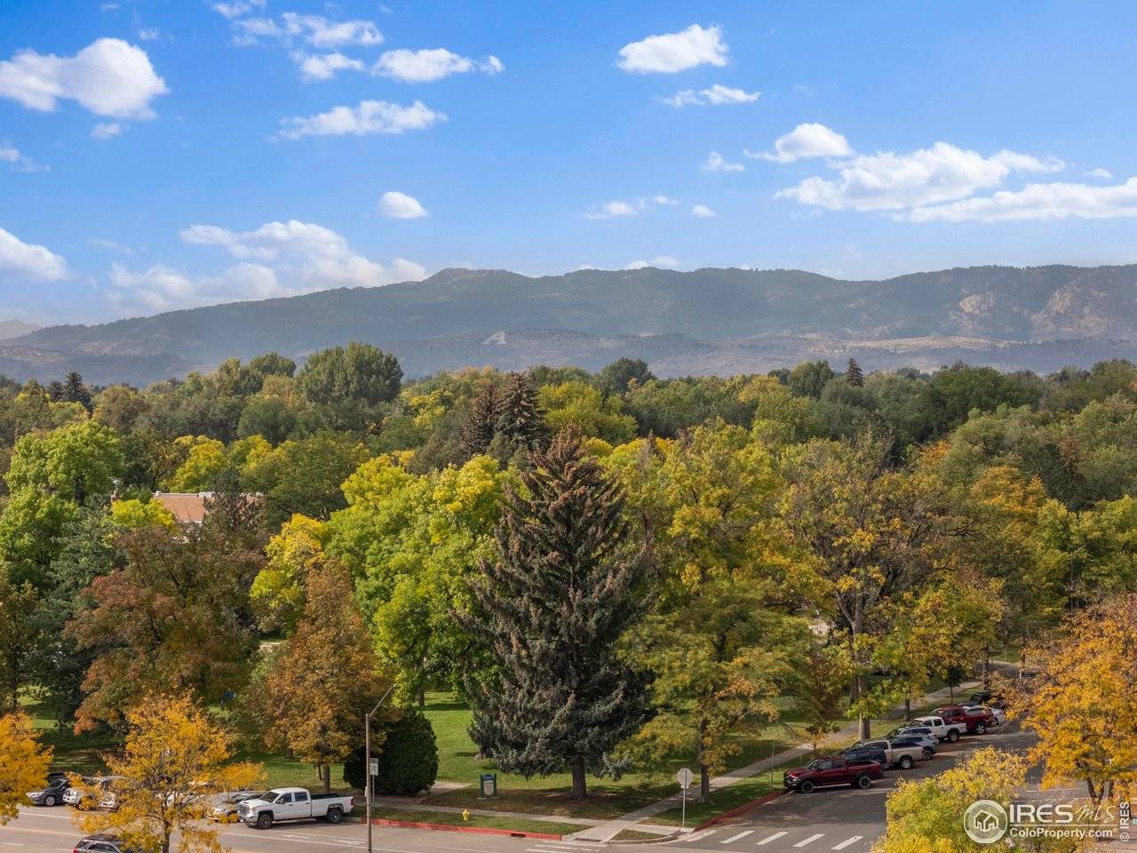 Fort Collins, CO 80521,204 Maple #401