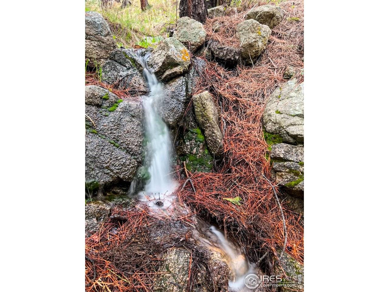 Boulder, CO 80302,3561 Sunshine Canyon