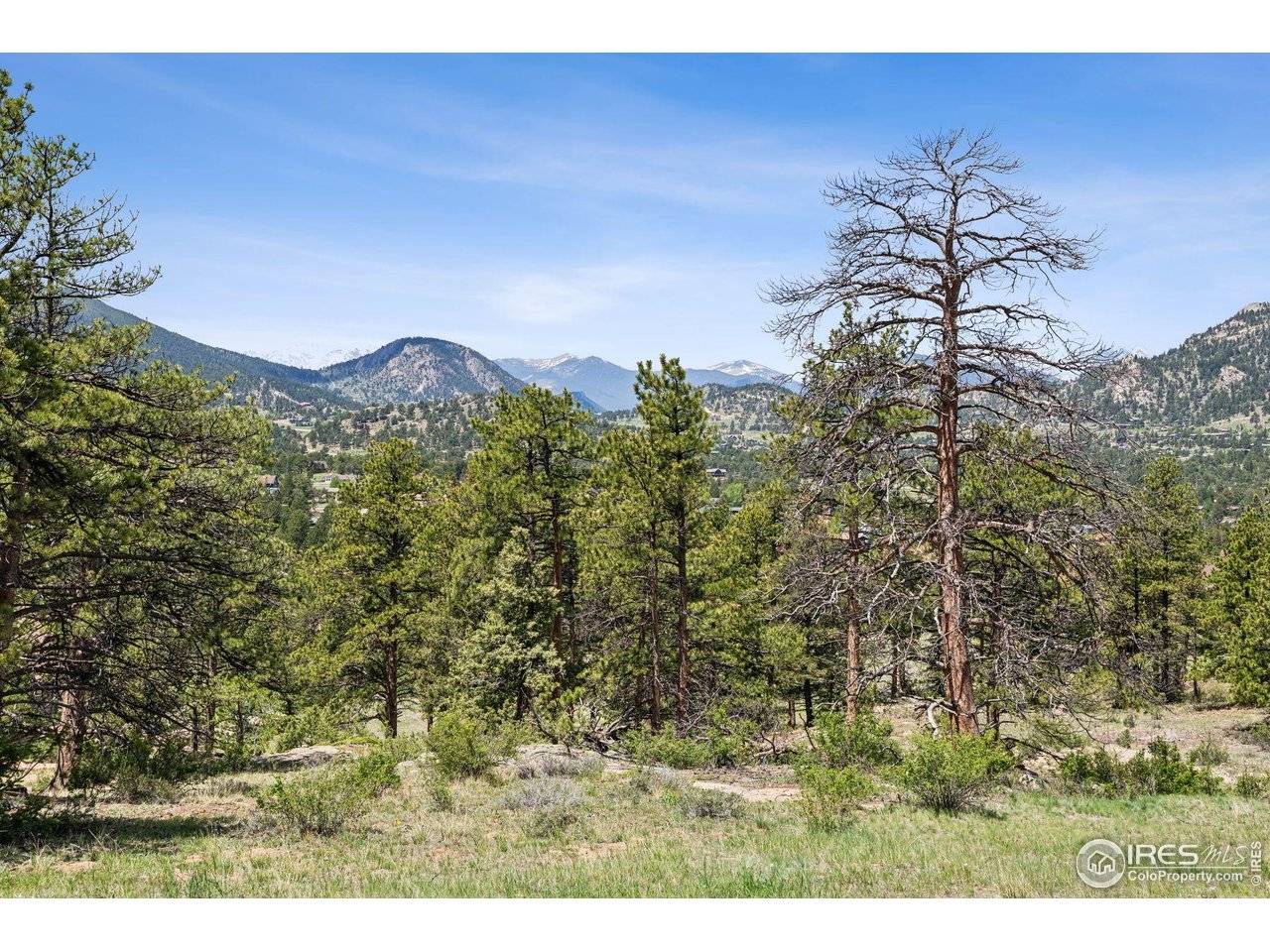 Estes Park, CO 80517,Lot 42 Governors