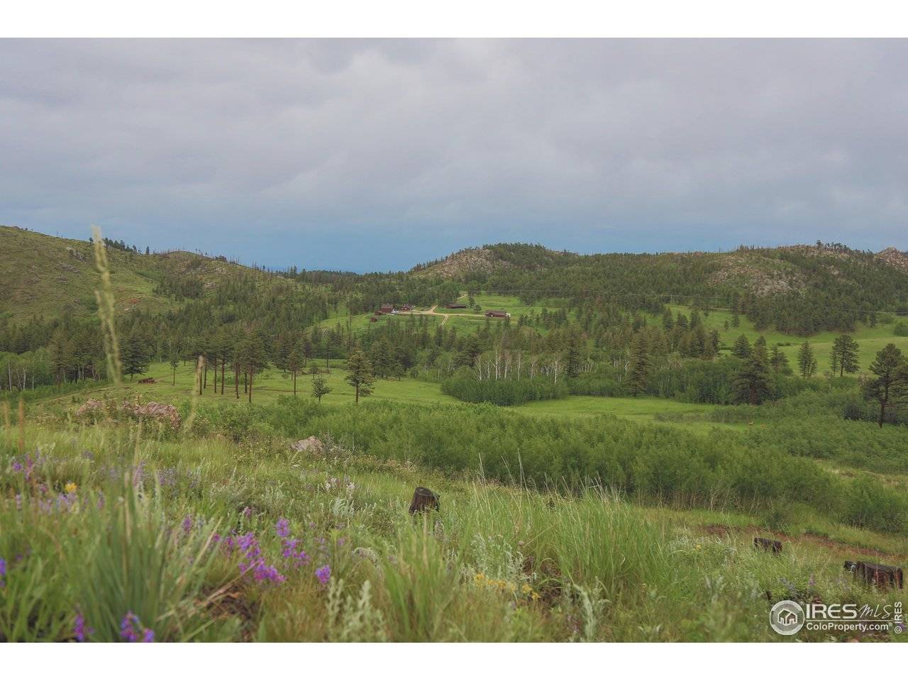 Bellvue, CO 80512,14884 Rist Canyon