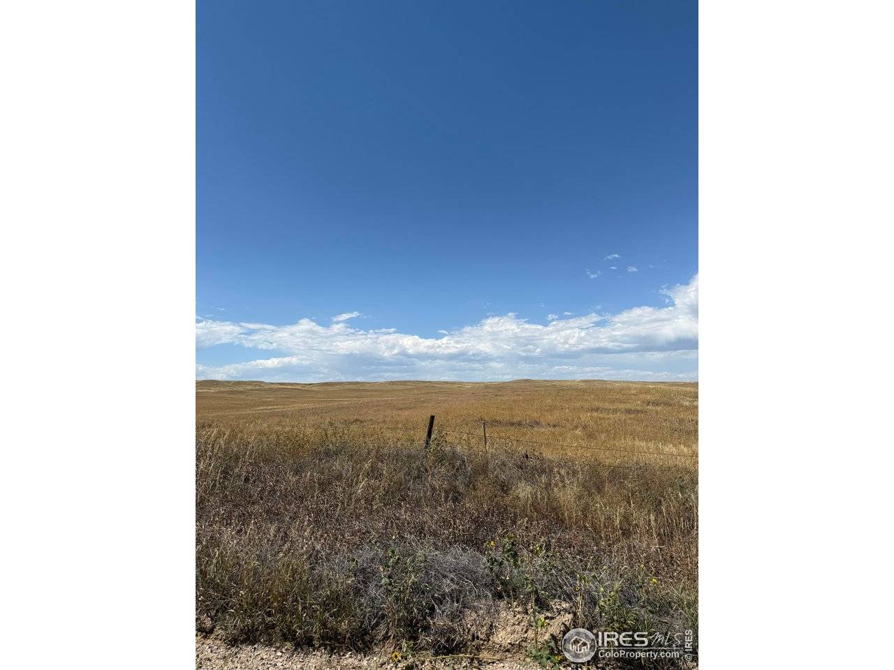 Carr, CO 80612,6 County Road 15