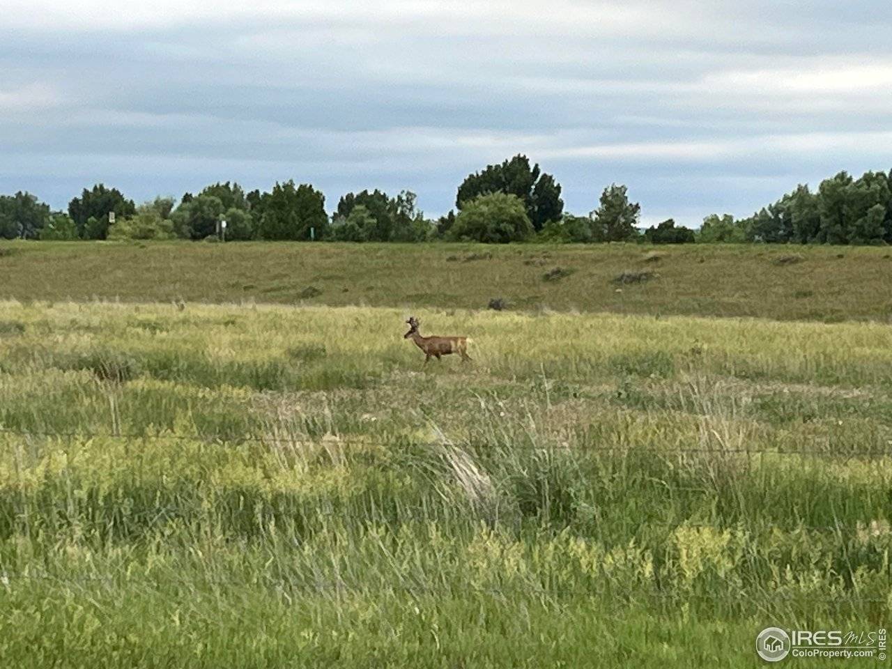Fort Collins, CO 80521,0 County Road 19- Lot 2