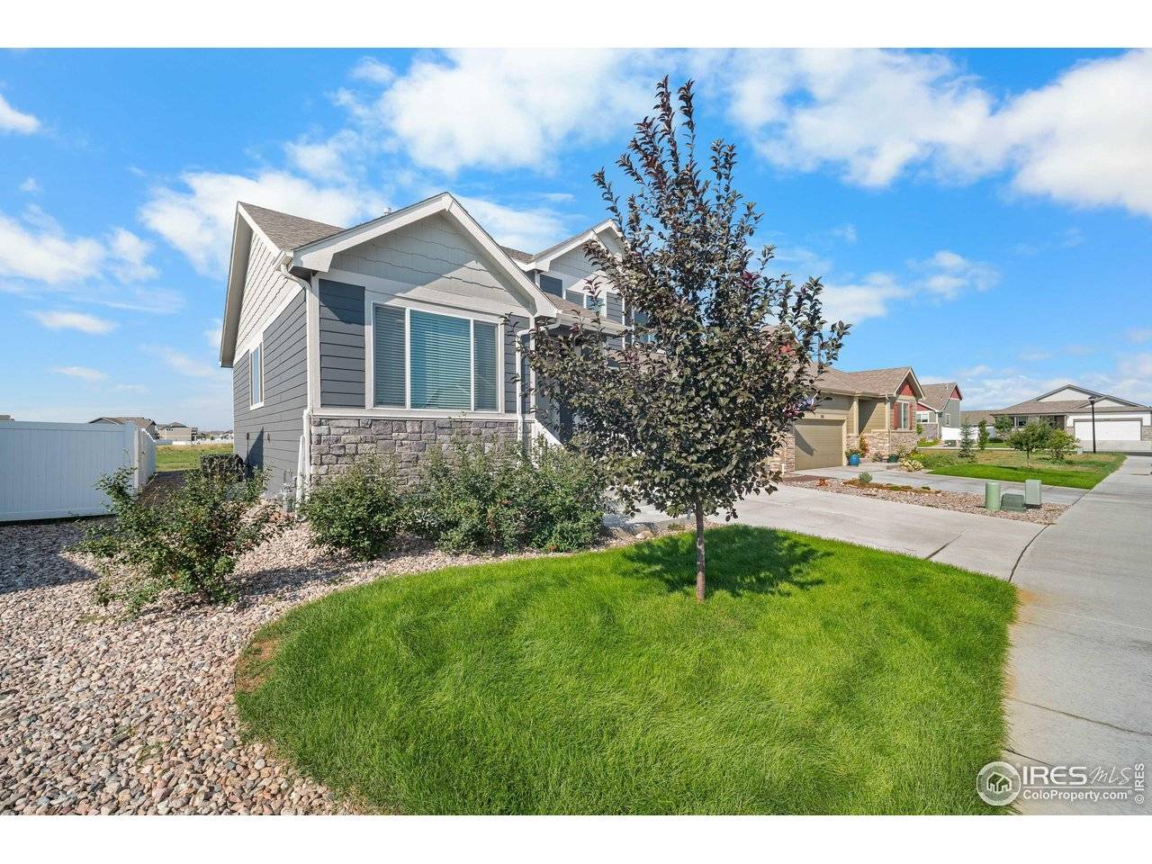 Windsor, CO 80550,374 Littlebrook