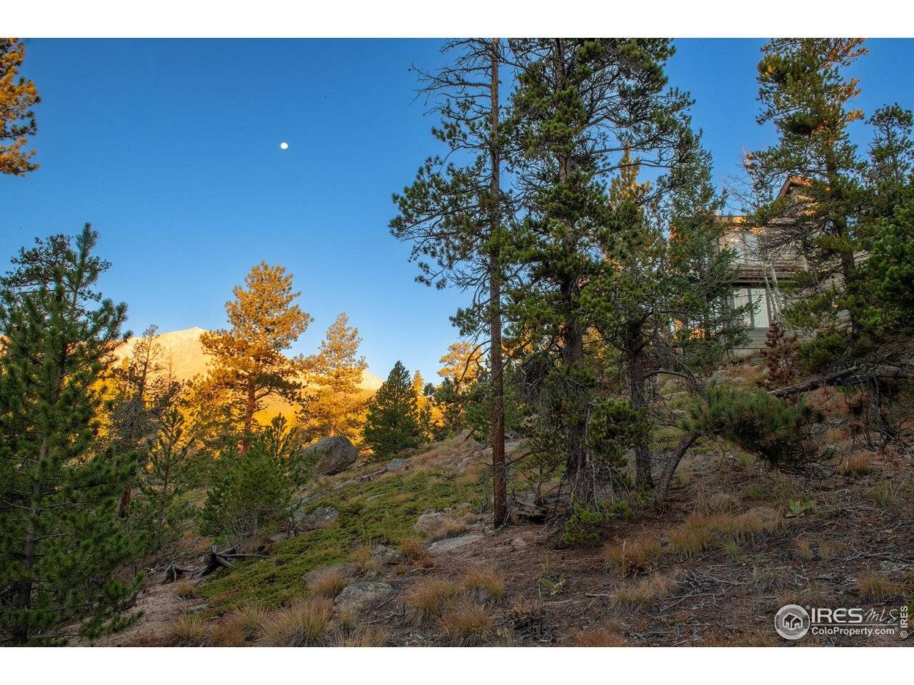 Allenspark, CO 80510,1997 Big Owl