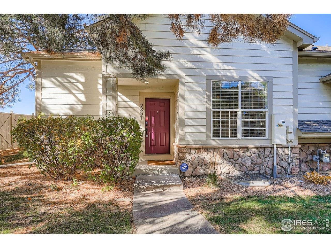 Lafayette, CO 80026,2837 Whitetail