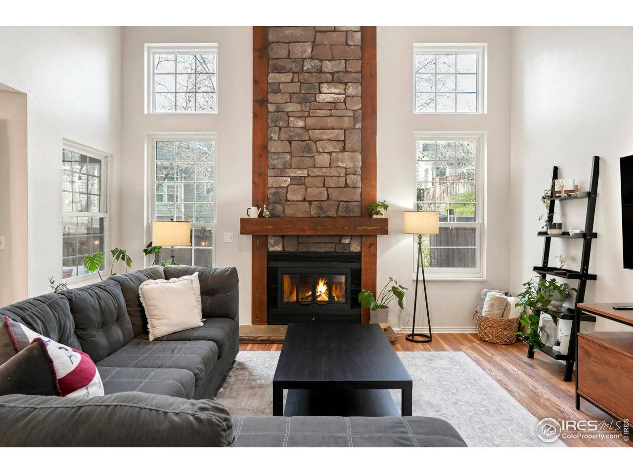 Littleton, CO 80123,6595 S Webster