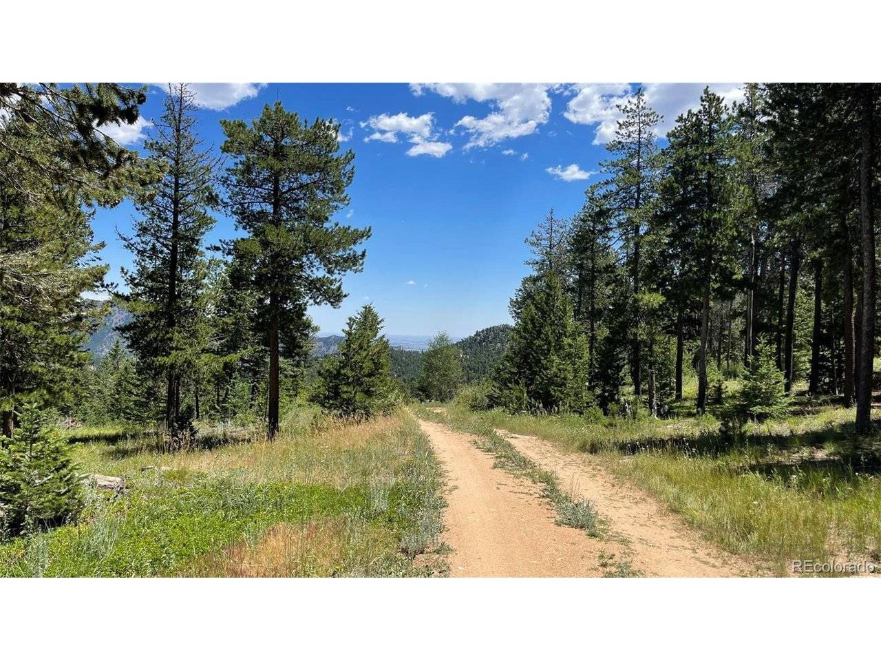 Golden, CO 80403,93 Gross Dam