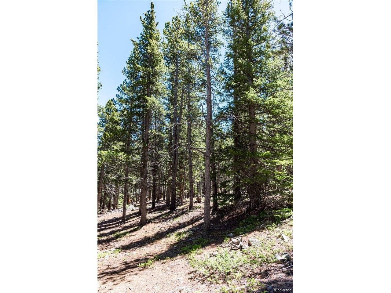 Fairplay, CO 80440,176 Gold Trail