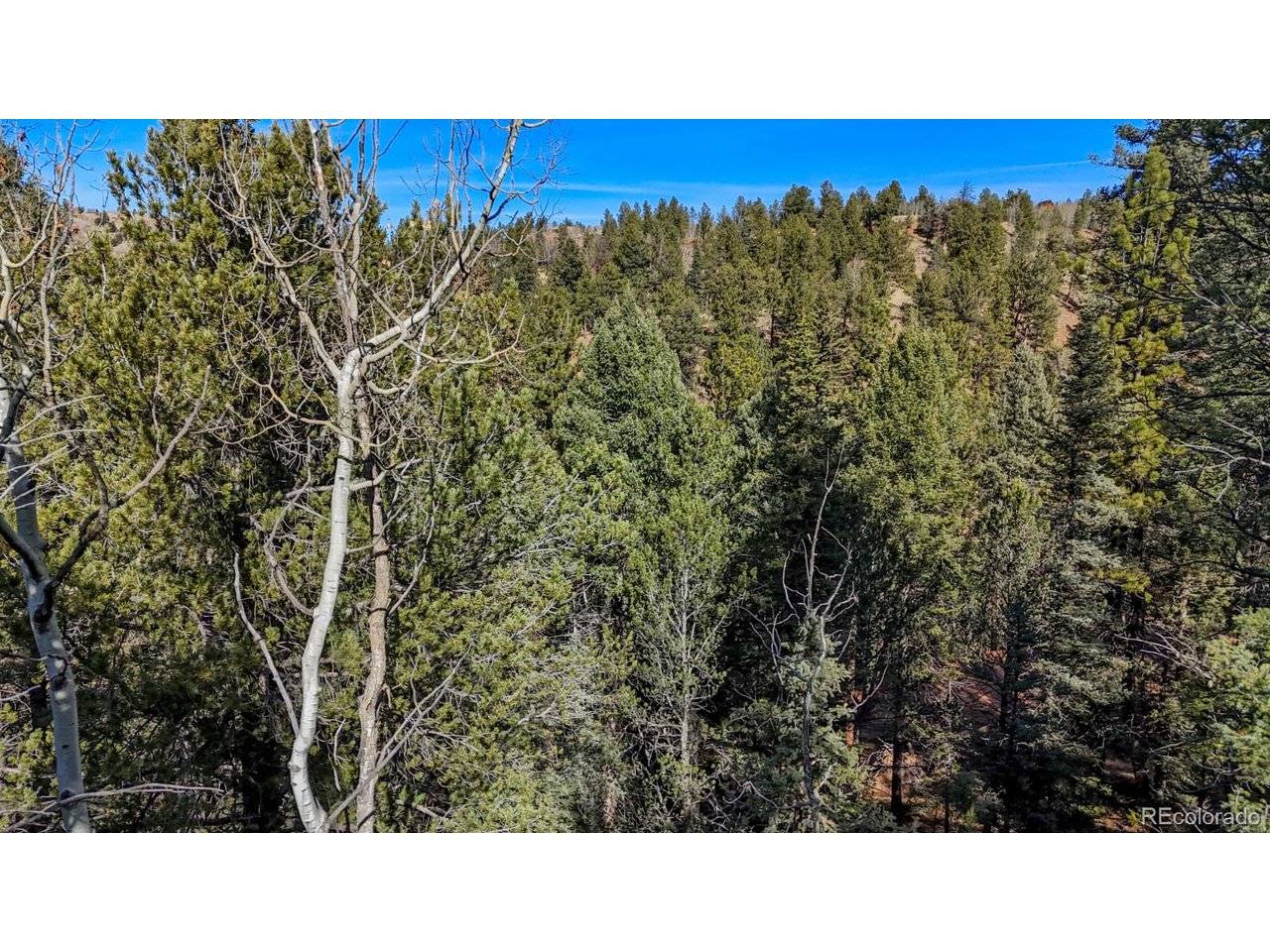 Cripple Creek, CO 80813,342 Vivenda