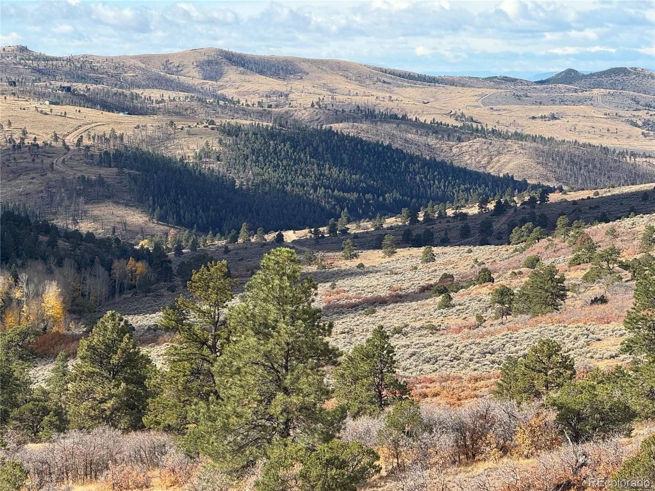 Fort Garland, CO 81133,284 Borman