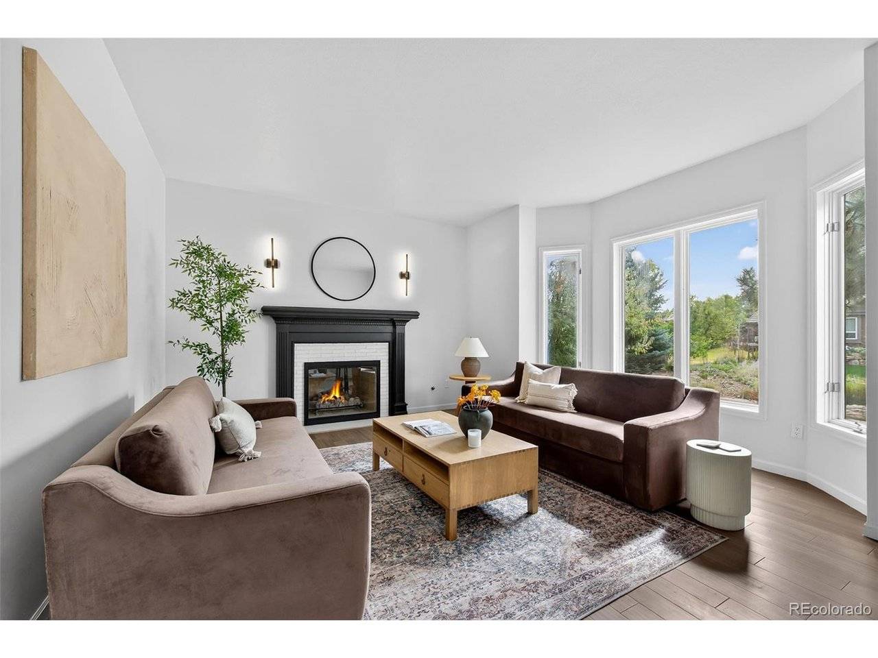 Littleton, CO 80127,3 Mourning Dove