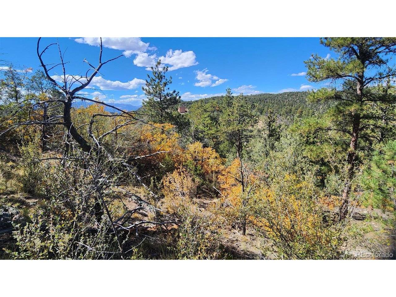 Cotopaxi, CO 81223,176 Arnold