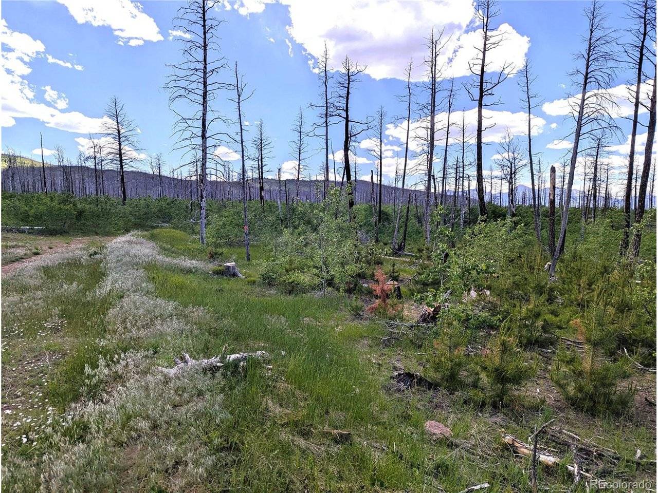 Fort Garland, CO 81133,1590 Douglas