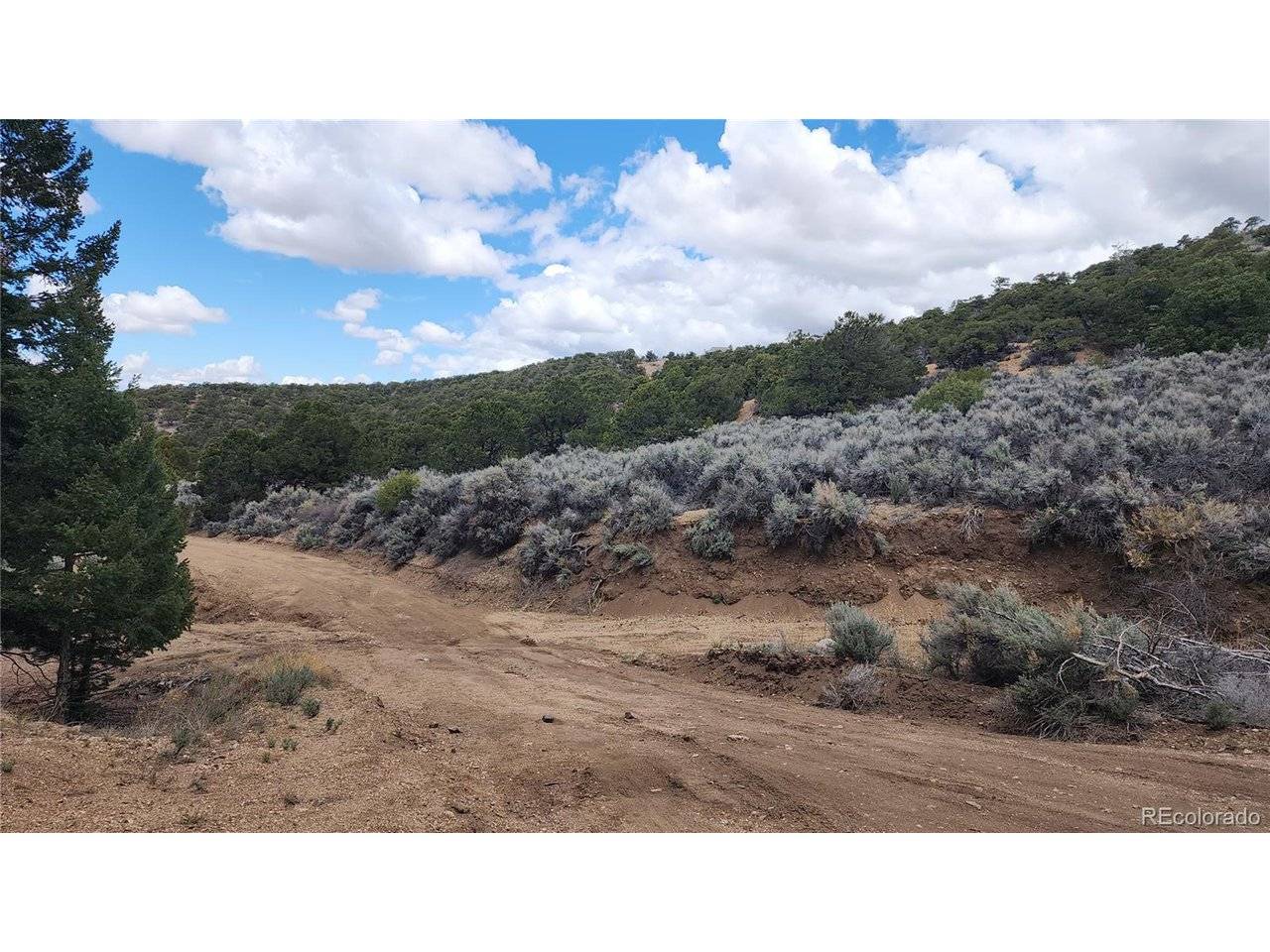 Fort Garland, CO 81133,7430 Waligunda