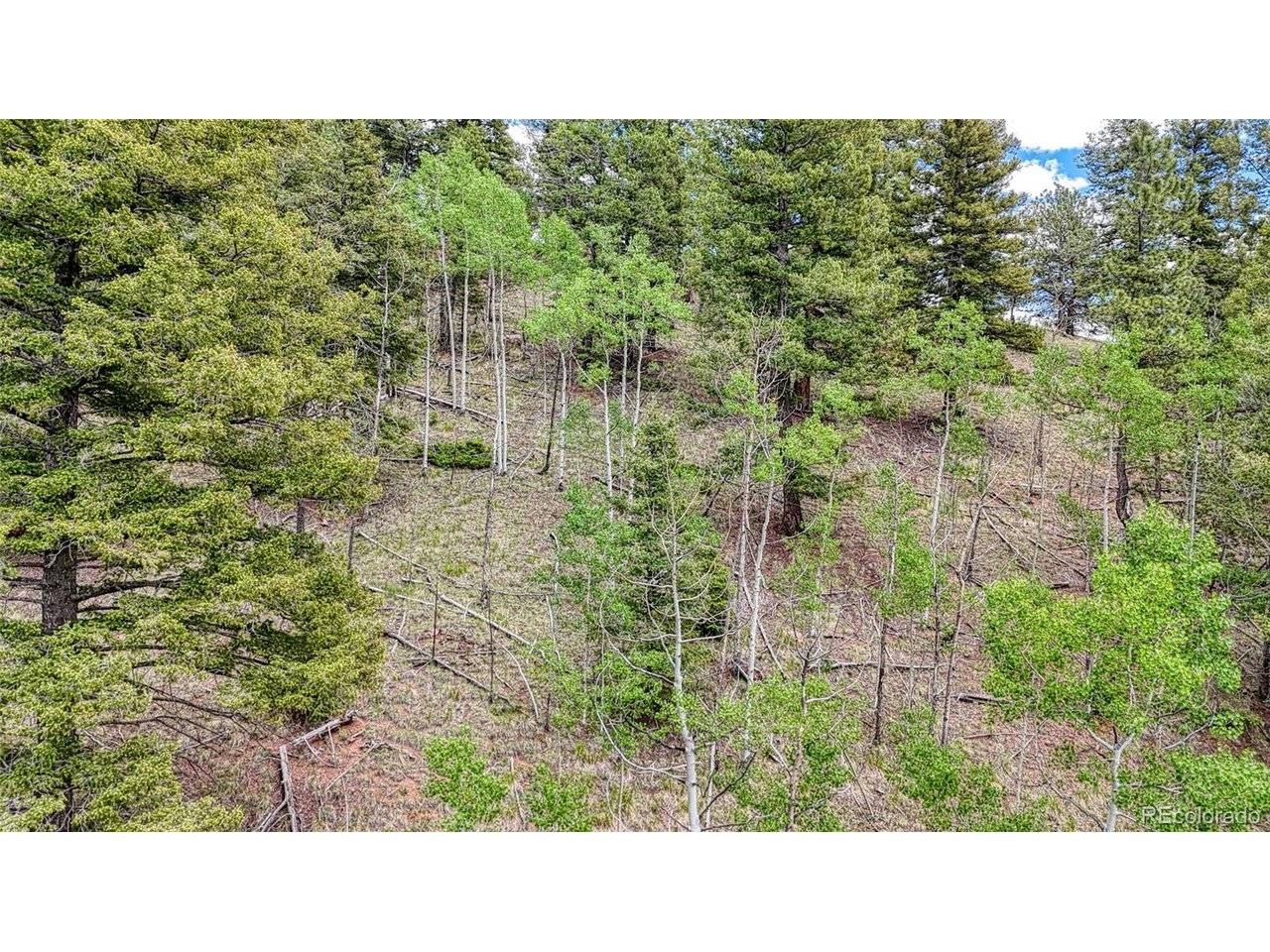 Cripple Creek, CO 80813,626 Little Topsey