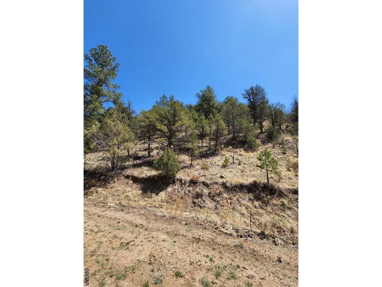 Cotopaxi, CO 81223,1314 Arnold