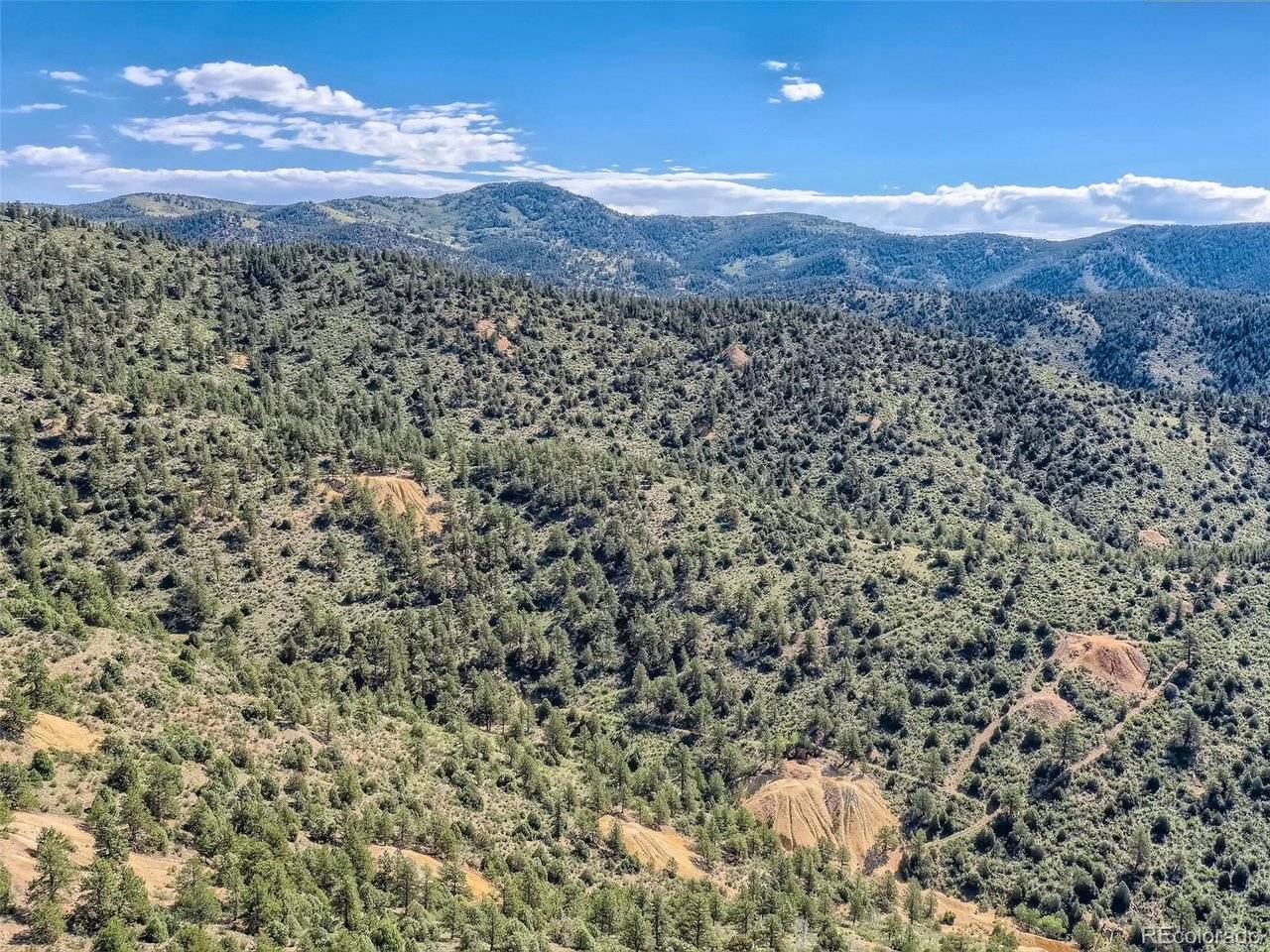 Dumont, CO 80436,1835 10-WW-5