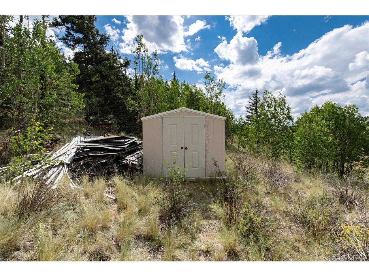 Como, CO 80432,63 Welsh Cob