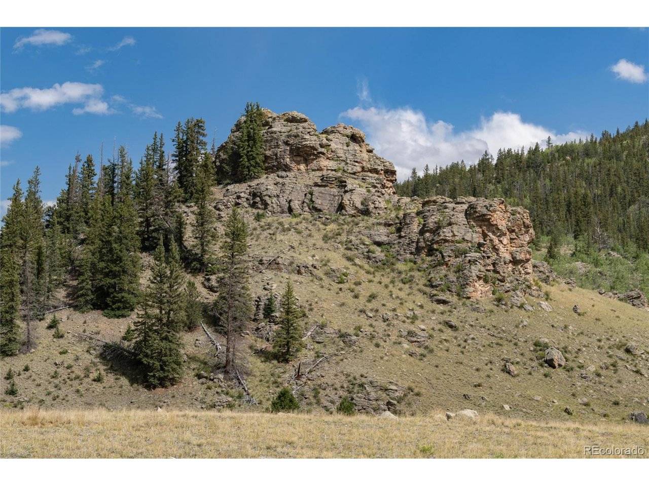 Como, CO 80432,63 Welsh Cob