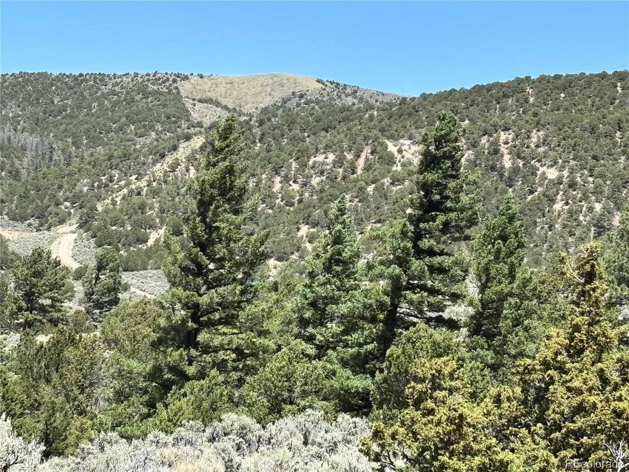 Fort Garland, CO 81133,0 Dollfus