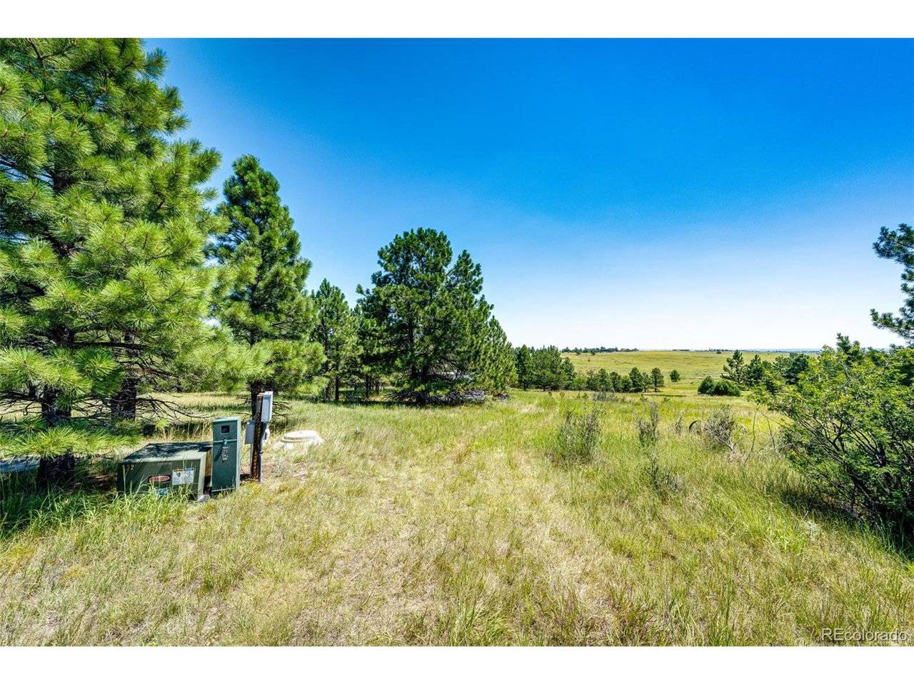 Kiowa, CO 80117,13123 Wilderness