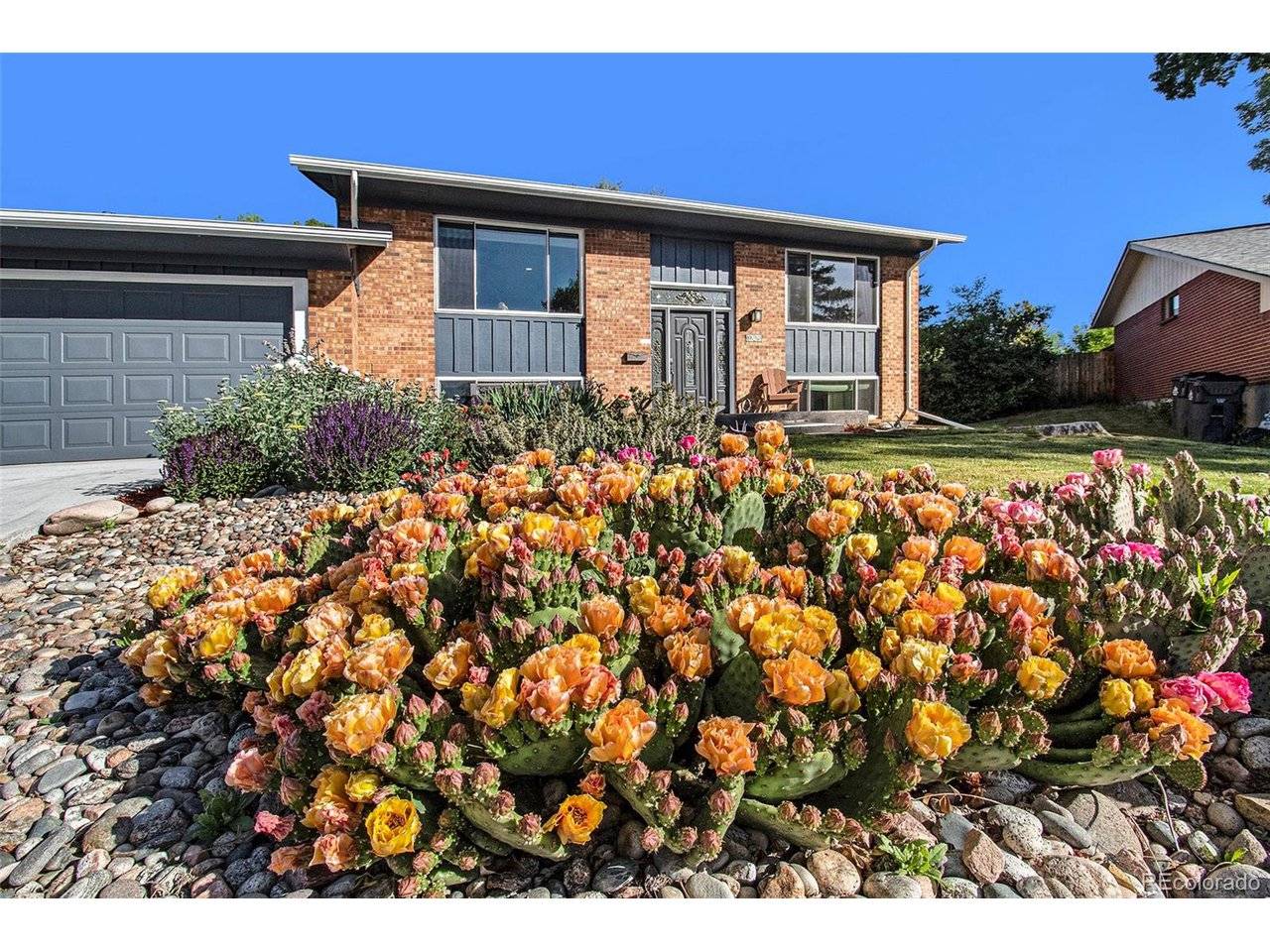 Lakewood, CO 80228,Address not disclosed