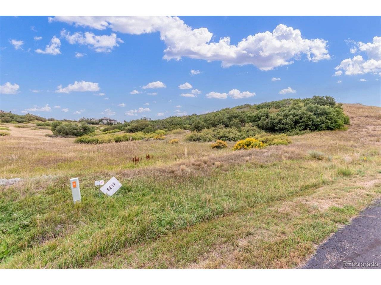 Littleton, CO 80125,5237 Aspen Leaf