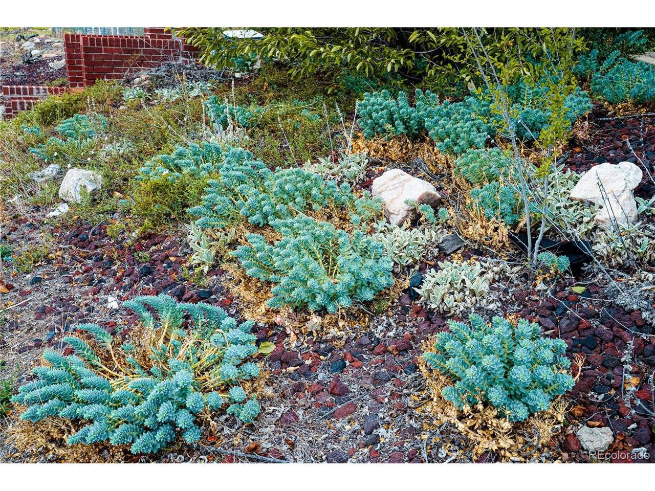 Westminster, CO 80030,3595 W 80th