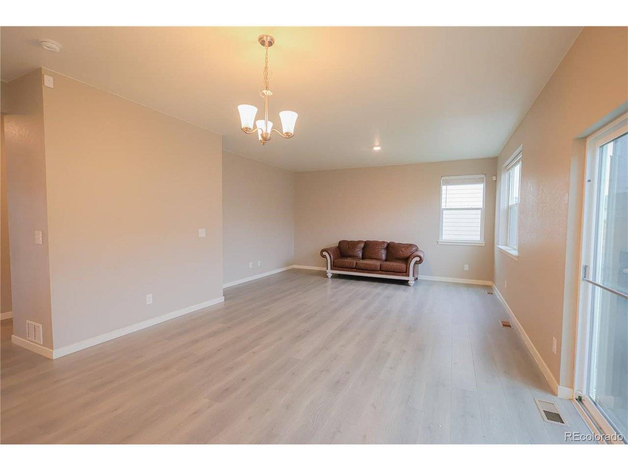 Mead, CO 80542,14562 Piedmontese